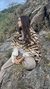 Chall Josefina en internet