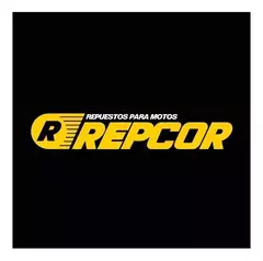 KIT DE CILINDRO REPCOR Z. RX 150 - comprar online