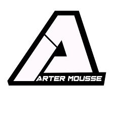 ARTER MOUSSE 90/90-21 - COWBOY MOTOPARTS