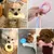 Mordedor Para Cães Pequenos - comprar online