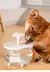 PetSplash – Bebedouro Automático com Circulação de Água para Pets