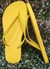 Imagem do Chinelo de Dedo