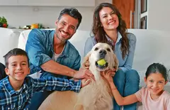 Banner de la categoría ACCESORIOS PARA MASCOTAS