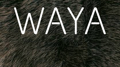 Banner da categoria WAYA