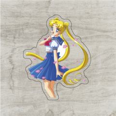 Sailor Moon #13