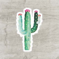 Cactus #10