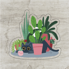 Gatito con plantas #1