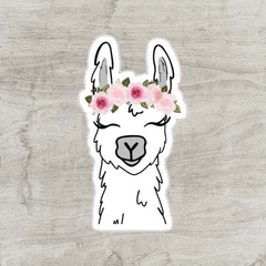 Llama