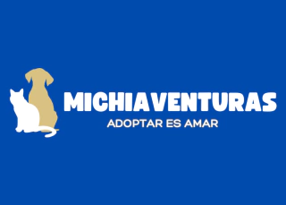 michiaventuras