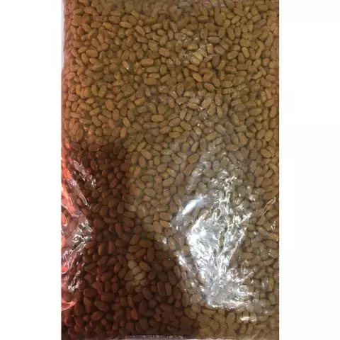 KG GOLDEN (CASTRADO) SABOR SALMAO,A GRANEL,CAT