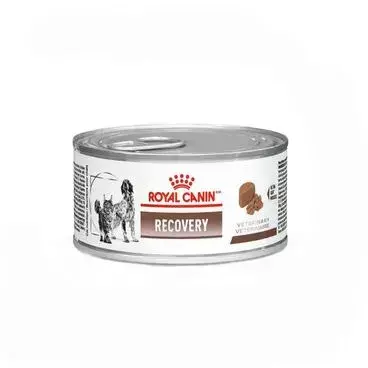RECOVERY LATA ROYAL CANIN WET 195G