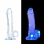 Dildo Realístico com LED Flexível 18,5x3,6cm - Transparente - loja online