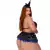 Fantasia Bruxinha Roxa Plus Size na internet