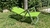 Reposera copacabana de aluminio (colores varios) - comprar online