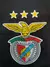 Camiseta version FAN Benfica SUPLENTE 2023 - camisetasf