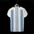 Camiseta version FAN Argentina TITULAR 2022 en internet