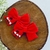 Laço Tradicional bordado Duplinha - vermelho