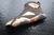 Air Jordan 7 Retro x Patta Shimmer - Loja Corner Collections