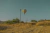 Balloon #1