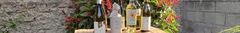 Banner de la categoría BLANCOS
