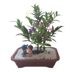 Kit 3 Pç Miniaturas Casal Decoração Mini Jardim E Terrários