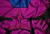 Gambit en internet