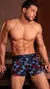 Boxer algodón lycra estampado - comprar online