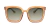 POINT OF VIEW ANIMA