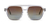 THE POINT OF VIEW OMBUXE - tienda online