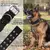 Coleira Tática para Cães: Controle e Segurança em Seus Passeios - comprar online