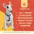 Casinha Cachorro Grande - comprar online