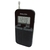RADIO PHILCO PRC39D PORTATIL en internet