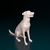 Miniatura de Cão Sem Raça Definida (Vira-Lata) - Pintura Personalizada ou Cor única - Estátua de Cachorro Impressão 3D - comprar online