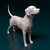 Miniatura Dálmata - Pintura Personalizada ou Cor única - Estátua de Cachorro Impressão 3D - comprar online