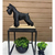 Miniatura Schnauzer Low Poly - Estátua de Cachorro Decorativo Impressão 3D