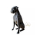 Miniatura Boxer Low Poly - Estátua de Cachorro Decorativo Impressão 3D