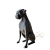 Miniatura Boxer Low Poly - Estátua de Cachorro Decorativo Impressão 3D