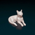 Miniatura Gato - Pintura Personalizada ou Cor única - Estátua de Cachorro Impressão 3D - comprar online