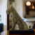 Miniatura Schnauzer Low Poly - Estátua de Cachorro Decorativo Impressão 3D