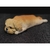 Miniatura Shih-Tzu - Pintura Personalizada ou Cor única - Estátua de Cachorro Impressão 3D - loja online