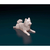 Miniatura Spitz - Pintura Personalizada ou Cor única - Estátua de Cachorro Impressão 3D