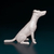 Miniatura Fox Paulistinha - Pintura Personalizada ou Cor única - Estátua de Cachorro Impressão 3D - comprar online