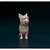 Miniatura Yorkshire Terrier - Pintura Personalizada ou Cor única - Estátua de Cachorro Impressão 3D