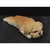 Miniatura Shih-Tzu - Pintura Personalizada ou Cor única - Estátua de Cachorro Impressão 3D