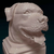 Busto Rottweiler - Estátua de Cachorro Decorativo Impressão 3D