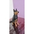 Miniatura Pastor Alemão (German Shepherd) - Pintura Personalizada ou Cor única - Estátua de Cachorro Impressão 3D na internet