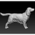 Imagem do Miniatura Cocker Spaniel - Pintura Personalizada ou Cor única - Estátua de Cachorro Impressão 3D