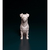 Miniatura Jack Russell - Pintura Personalizada ou Cor única - Estátua de Cachorro Impressão 3D - Universo3d