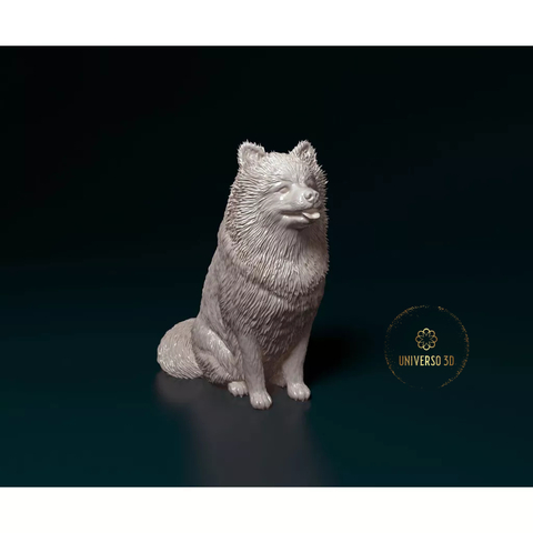 Miniatura Spitz - Pintura Personalizada ou Cor única - Estátua de Cachorro Impressão 3D