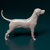 Miniatura Dálmata - Pintura Personalizada ou Cor única - Estátua de Cachorro Impressão 3D na internet